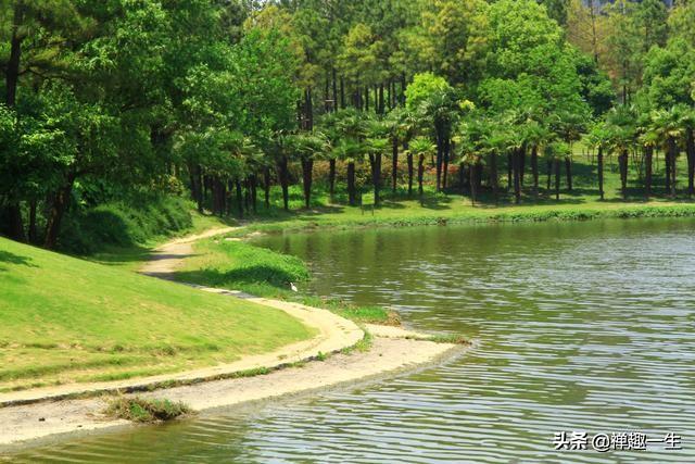 北上海最大人工湖，免费最美AAAA级景区，端午踏青是您的首选吗？