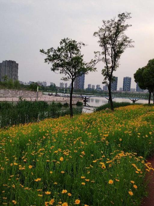 在上海近郊竟有这样的开放式公园，很多人不知道吧！