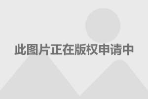 上海警方查获18万个假冒品牌月饼_涉案金额3000余万