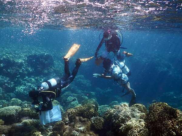 冷门专业：殡仪学就业易恋爱难 珊瑚生态学要常潜水
