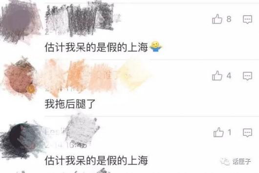 华西村人均收入_上海人均月薪(2)