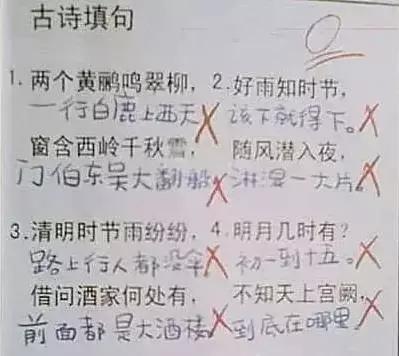 上海热线教育频道--小学生作业里的爆笑答案,老