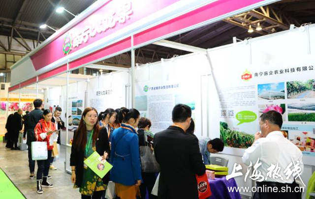 先进栽培技术引领 南宁火龙果亮相上海果蔬展
