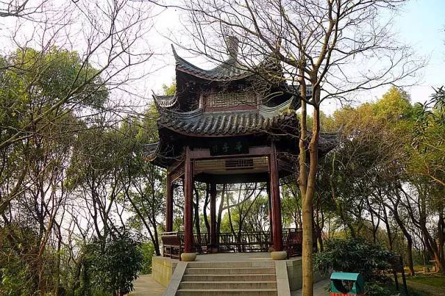 松江这些鲜为人知的地方 美哭了还不用买门票