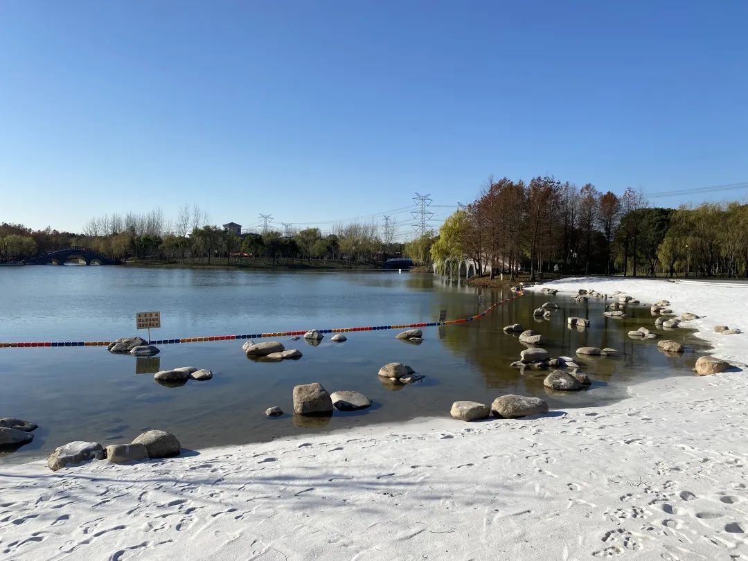 营造野生动物自然栖息地 浦东这个湿地公园亮点多多——上海热线教育