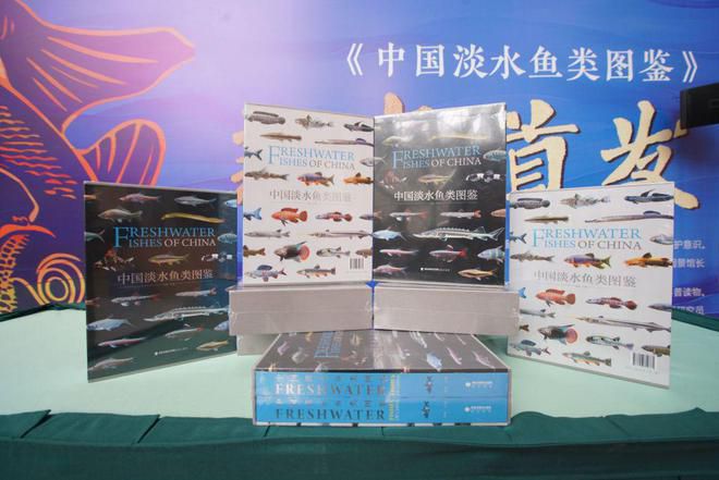 中国最为系统的鱼类活体图鉴在沪首发,涵盖729种淡水鱼类——上海热线早上海