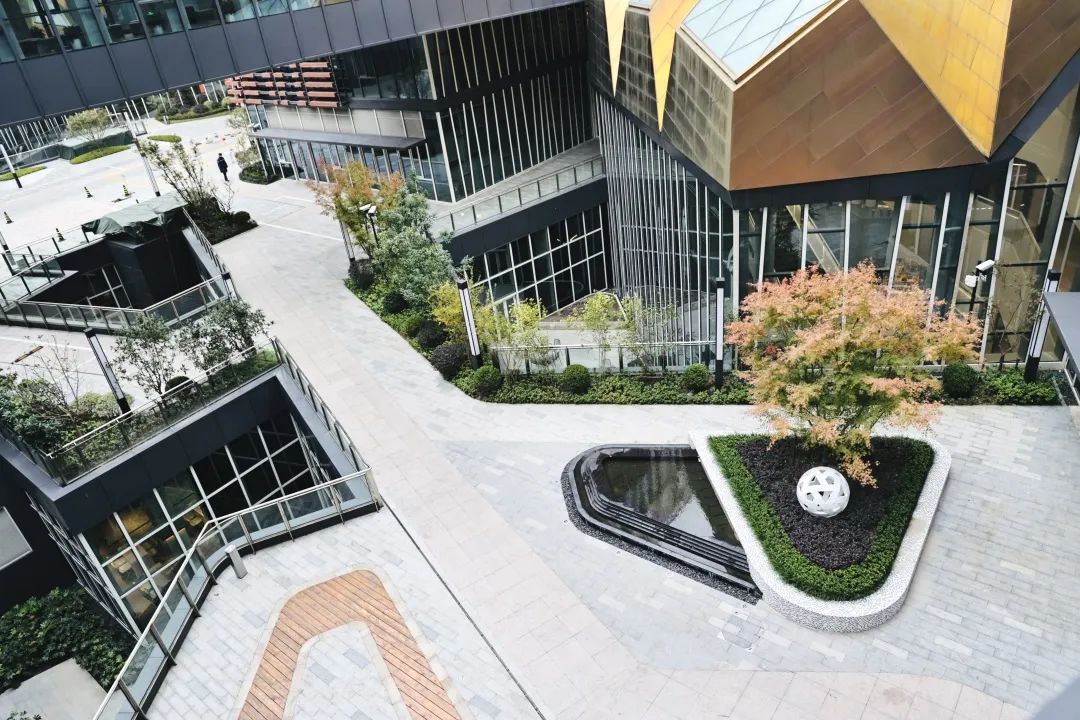 像逛街一样逛大学!杨浦这所高校校区没有围墙——上海热线教育频道